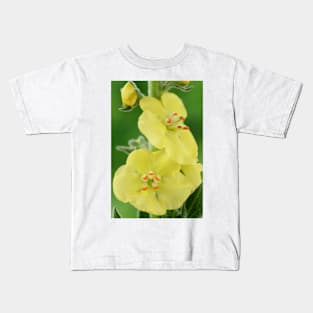 Verbascum  &#39;Primrose Path&#39;  Mullein Kids T-Shirt